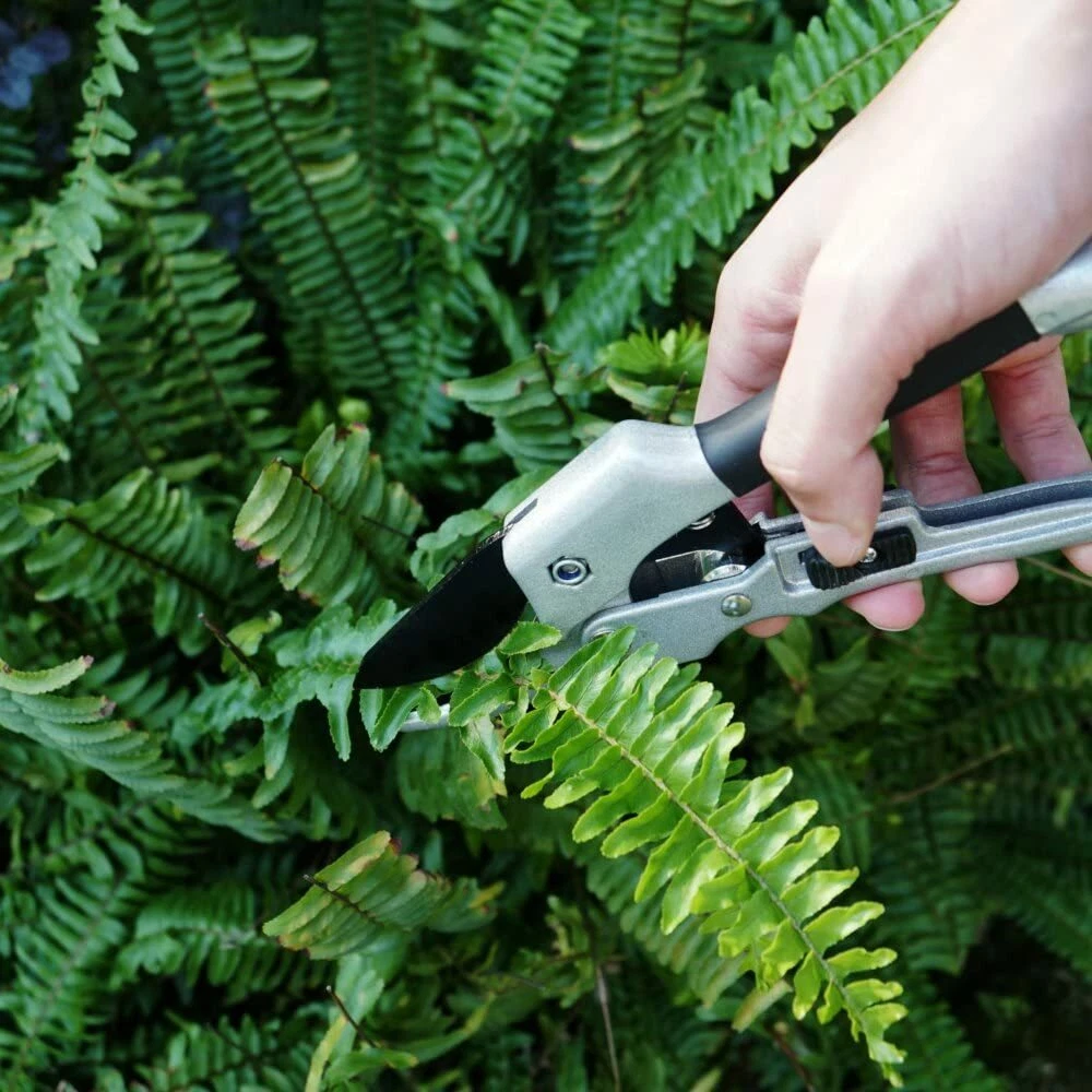 Professional SK5 Steel Anvil Pruning Shears – Heavy-Duty Garden Hand Clippers - Image 4