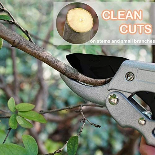 Professional SK5 Steel Anvil Pruning Shears – Heavy-Duty Garden Hand Clippers - Image 3