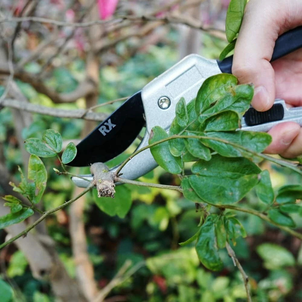 Professional SK5 Steel Anvil Pruning Shears – Heavy-Duty Garden Hand Clippers - Image 2