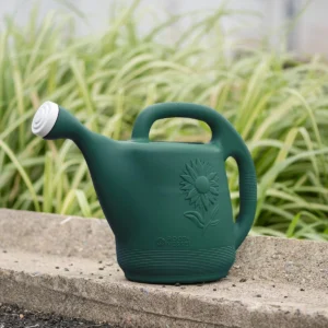 Novelty Root & Vessel 2-Gallon Watering Can – Green Plastic Indoor & Outdoor